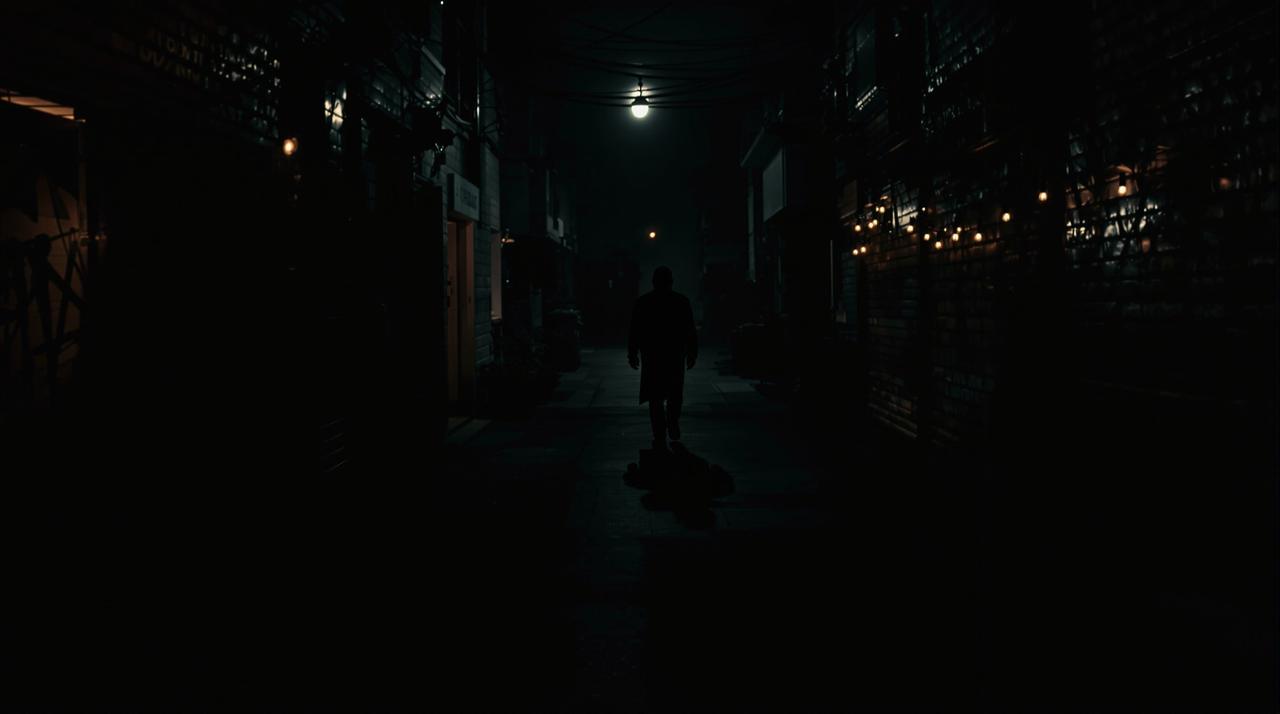 平民影院最新上线 - 暗夜追踪